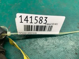 Катушка зажигания QX60/JX35 12-20