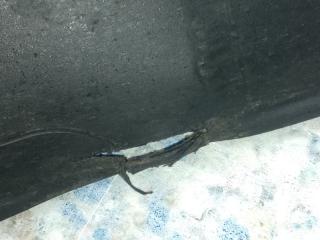 Накладка порога наружная левая PILOT 15- 2017 3.5L