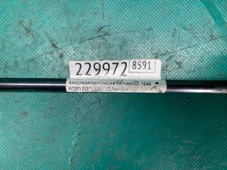 Амортизатор крышки багажника правый FOCUS 10-18 2013 Хетчбек 2.0 C20HDEX