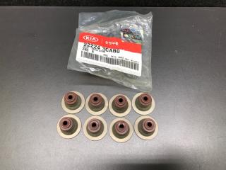 Запчасти двигателя HYUNDAI GRANDEUR HG 11-16