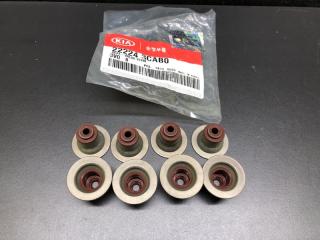 Запчасти двигателя HYUNDAI GRANDEUR HG 11-16 3.0 LPI L6DB