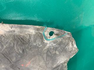 Защита переднего бампера CX-5 (KE) 11-17 2014 Внедорожник 2.5