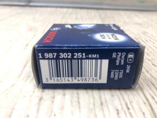 Лампочка ES300 96-01