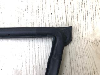 Уплотнитель двери передний правый FOCUS 10-18 2015 CB8 2.0 XQDA