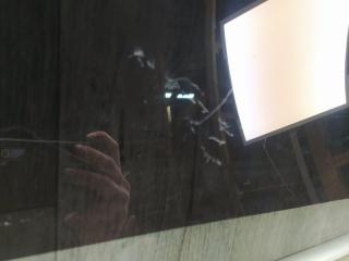 Стекло двери заднее левое JETTA USA 10-17 2011 162 2.5 CBUA