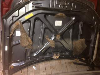 Капот OUTLANDER XL 05-13 2006 CW 3.0 6B31