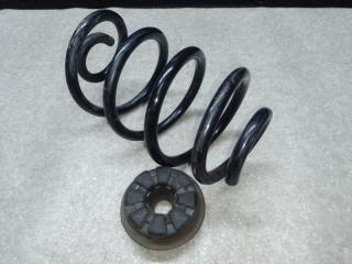 Пружина задней подвески X-TRAIL/ROGUE T32 13-20