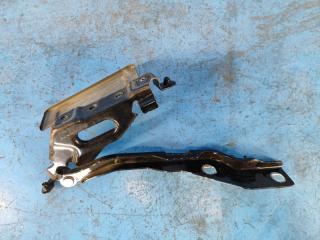 Петля капота правая EXPEDITION 17- 2018 T35PDTD