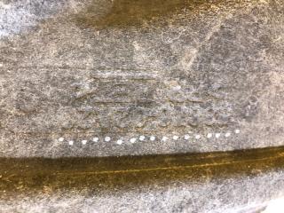 Подкрылок передний левый COROLLA 18-