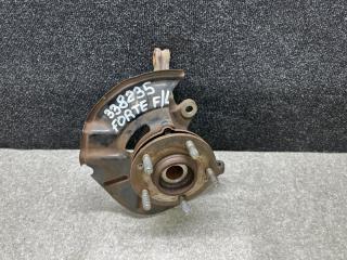 Кулак поворотный левый FORTE/CERATO TD 08-13