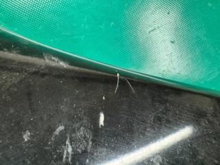 Крыло переднее правое NISSAN ROGUE 08-15 2.5 QR25DE