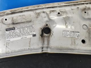 Капот PRIUS - 30 09-17