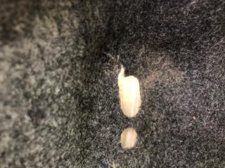 Обшивка багажника правая ACCORD CR 13-18