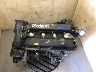 Двигатель бензин FOCUS 10-18 2013 Седан 2.0