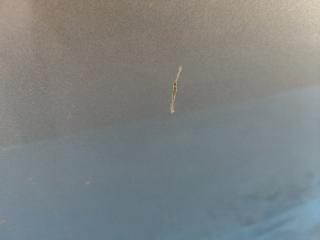 Дверь задняя левая SIENNA 11-16 2015 3.5 2GR-FE