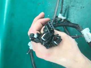 Проводка бампера задняя NX 14-21 2020 8ARFTS 2.0TURBO