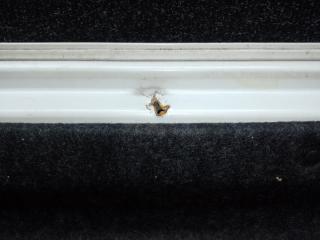 Крышка багажника CIVIC FC/FK 15- 2019 2.0L 4