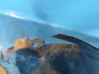 Подкрылок передний правый TOYOTA CAMRY 40 06-11 2.4 2AZFXE