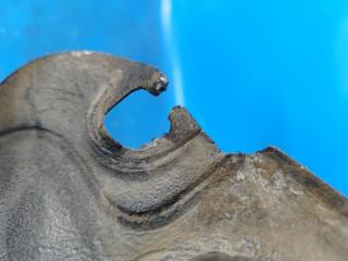 Подкрылок передний левый CAMRY 40 06-11 2007 2.4 2AZFXE