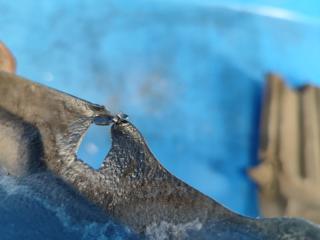 Подкрылок передний левый CAMRY 40 06-11 2007 2.4 2AZFXE