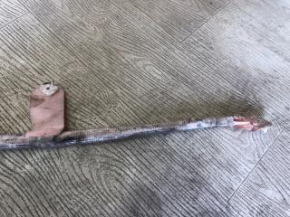 Подушка безопасности (штора) правая CAYENNE 07-10