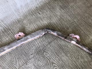 Подушка безопасности (штора) левая CAYENNE 07-10