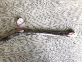 Подушка безопасности (штора) левая CAYENNE 07-10