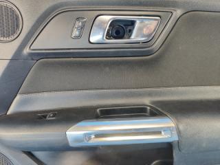 Карта двери передняя правая MUSTANG 15-