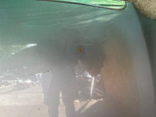 Капот ACCORD CL7 / TSX 03-08 2005 2.4L