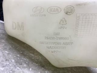 Бачок расширительный SANTA FE (DM) 12-18 2013 2.0 G4KH