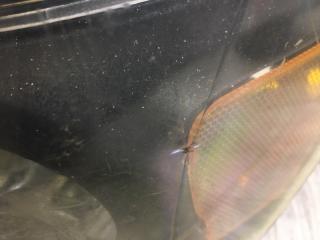 Фара левая QX56 / TITAN / ARMADA 04-16