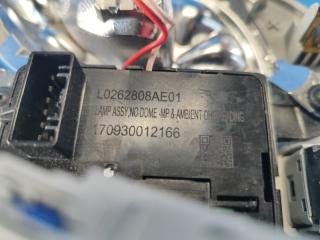 Плафон салона COMPASS 17-21 2018 2.4 EDD