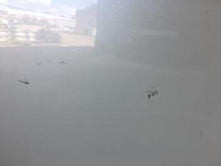 Дверь передняя правая RAV4 05-12 2006 2.4 2AZFE