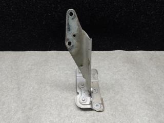 Петля капота правая FORD FLEX 08-19 2013