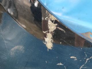 Крыло переднее правое CIVIC 4D 06-11