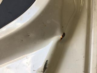 Дверь боковая сдвижная задняя правая ODYSSEY 17- Минивэн