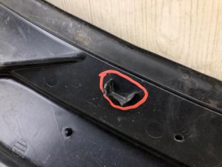 Пластик под лобовое стекло / Жабо JOURNEY 08-20 2008 3.5 EGF