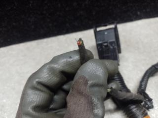 Электропроводка MODEL Y 19- 2021