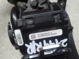 Ремень безопасности задний правый MODEL Y 19- 2021