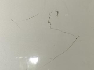 Капот PRIUS - 20 03-11