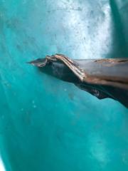 Крепление балки подвески переднее левое NX 14-21 2020 8ARFTS 2.0TURBO