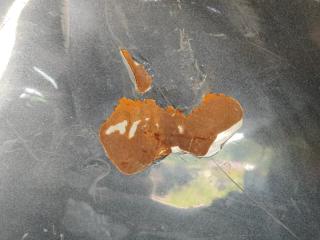 Капот CIVIC 4D 06-11