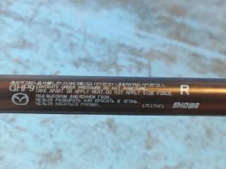 Амортизатор крышки багажника правый 6 GJ 12-