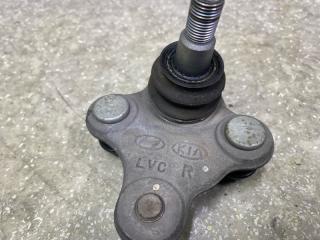 Шаровая опора передняя правая ELANTRA AD 16- 2016 2.0 G4NH