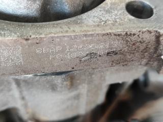 Двигатель бензин PATRIOT 10-17 2.0 ECN