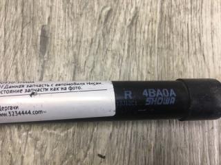 Амортизатор крышки багажника правый X-TRAIL/ROGUE T32 13-20