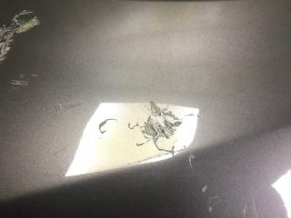 Крыло переднее левое SIENNA 11-16 2014 3.5 2GR-FE