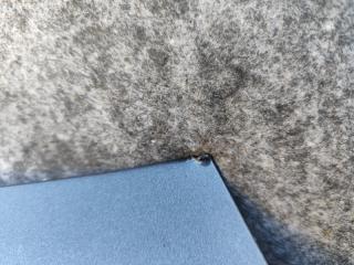 Крышка багажника MUSTANG 15- 2017 Кабриолет 3.7 C37PDED