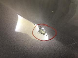 Крыло переднее правое SIENNA 11-16 2014 3.5 2GR-FE