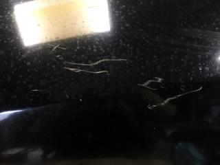 Крыло переднее правое PATHFINDER R52 12-21 2013 3.5 VQ35DE